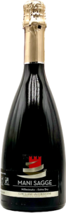 Prosecco Superiore DOCG Millesimato Extra Dry 2021, Mani Sagge